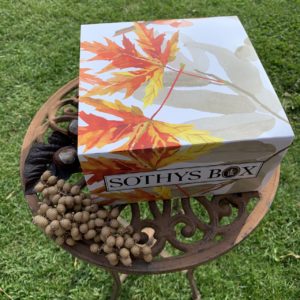 SOTHYS Box – die Herbst Edition