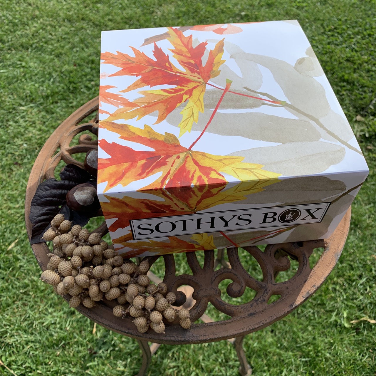 SOTHYS Box – die Herbst Edition