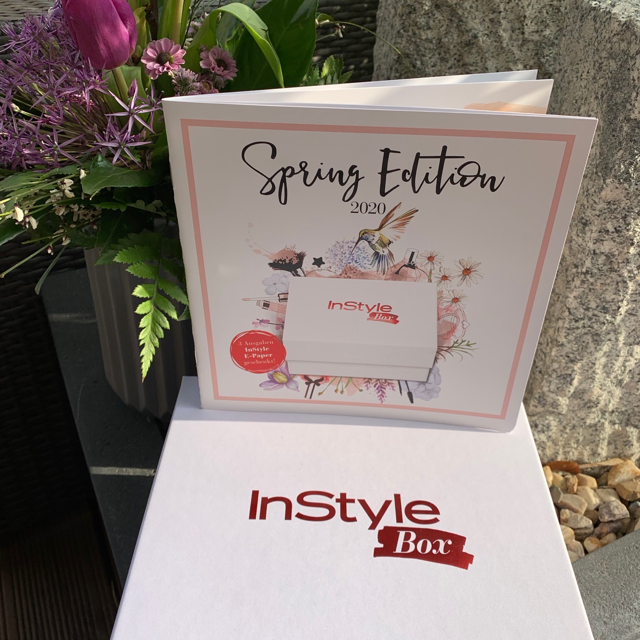 InStyle Box Spring Edition