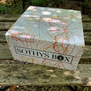 5 Jahre SOTHYS BOX