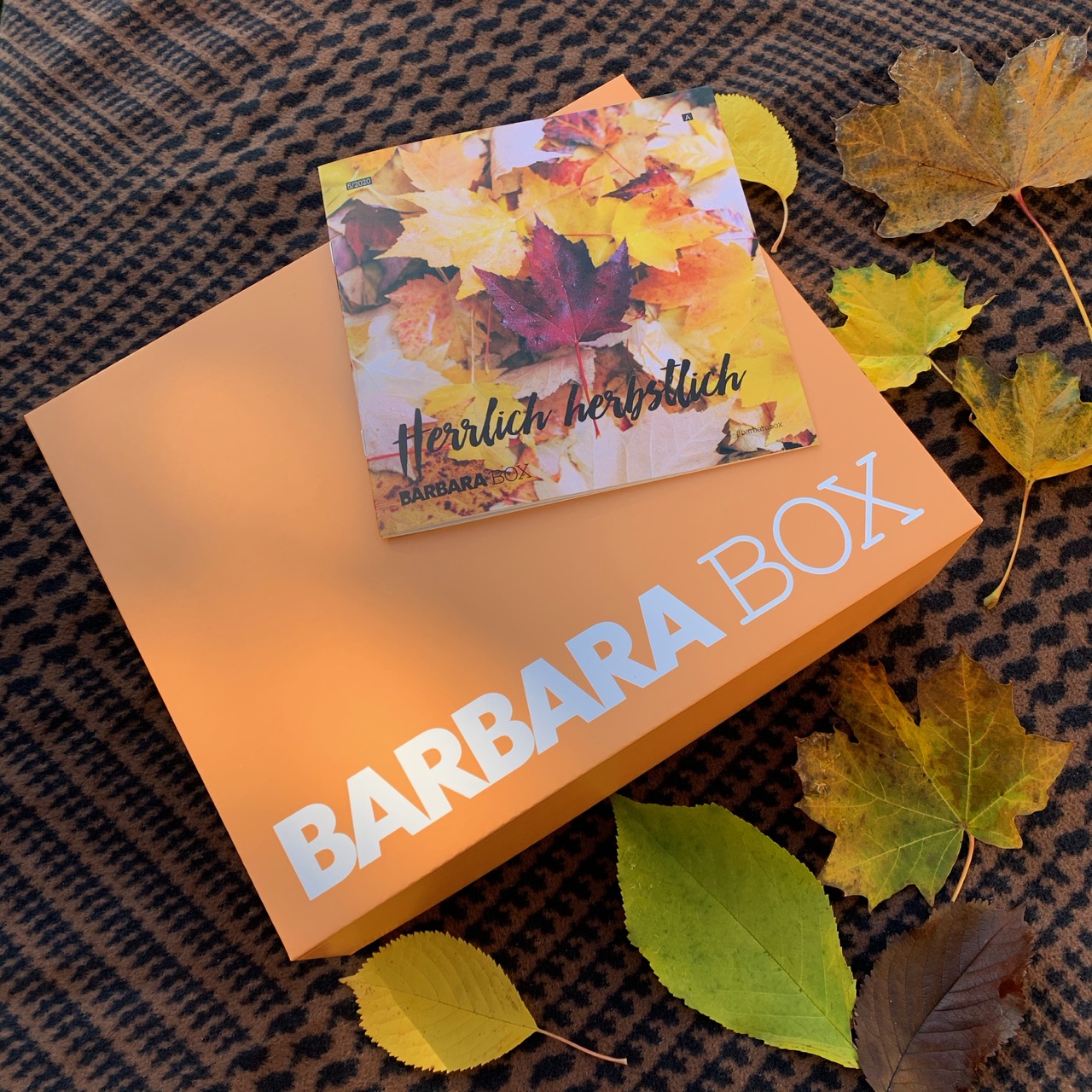 BARBARA BOX – Herrlich herbstlich