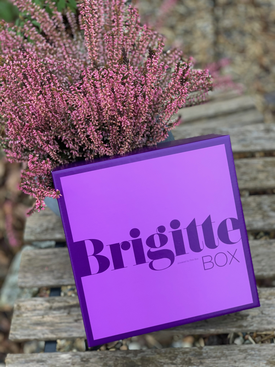 BRIGITTE BOX 01/21 – Lebenslust