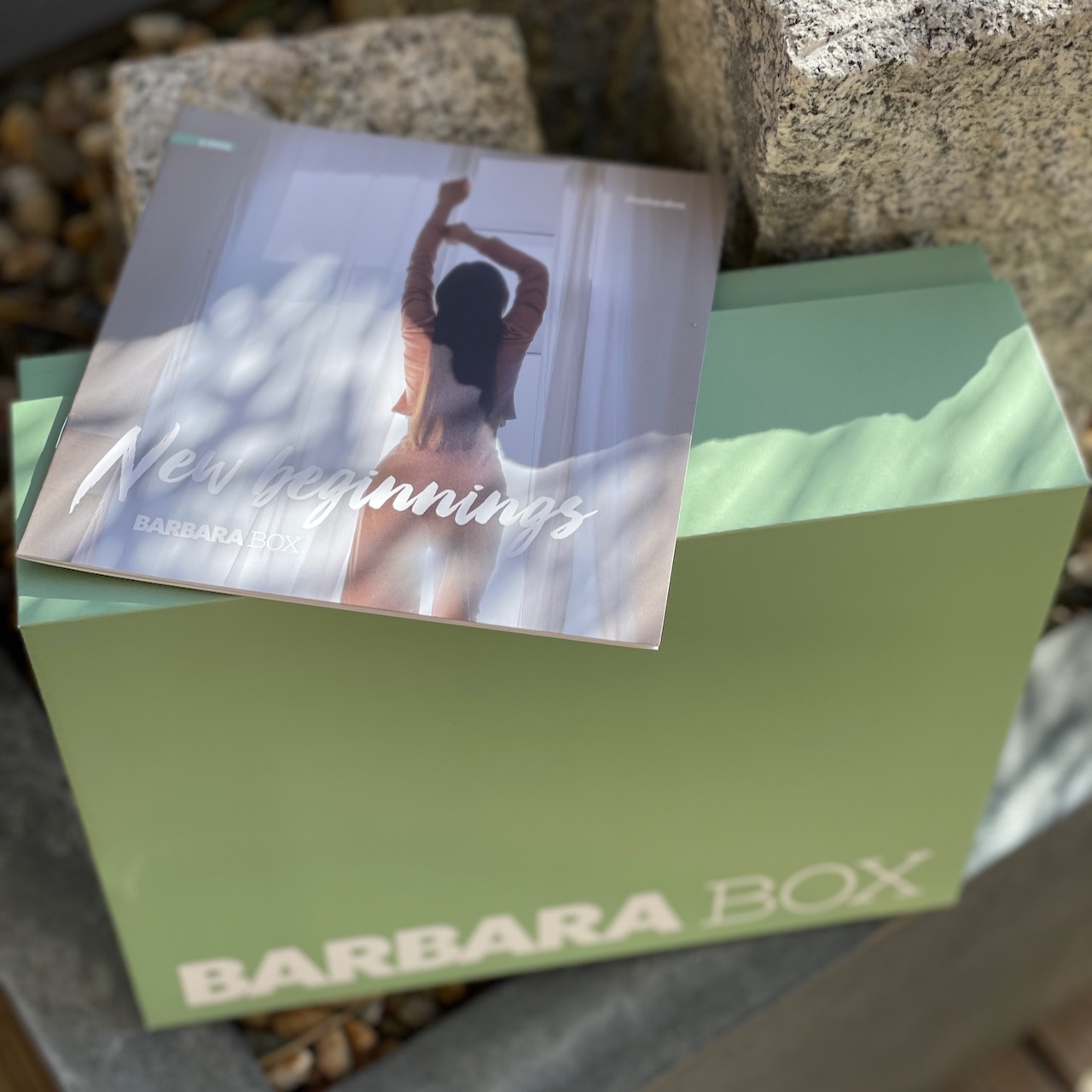 BARBARA BOX – New Beginnings