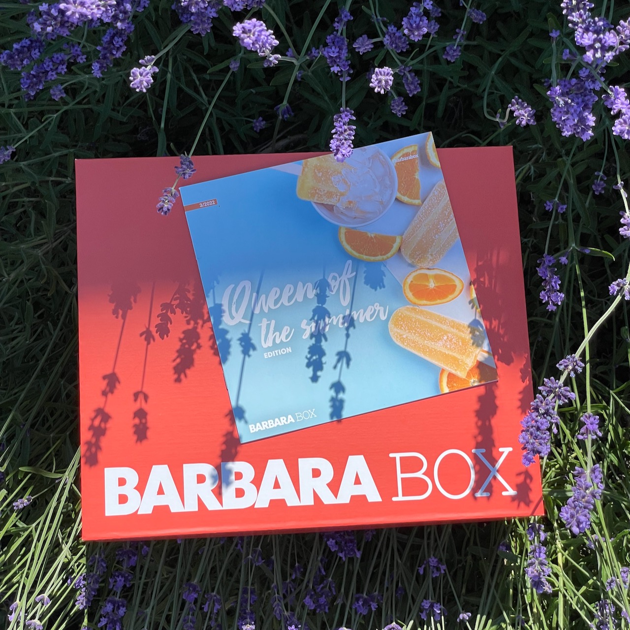 BARBARA BOX – Queen of the Summer